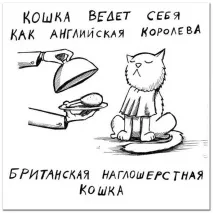 Смішні малюнки карикатури котів та кішок малюнки