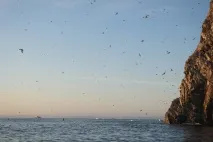 бронювання