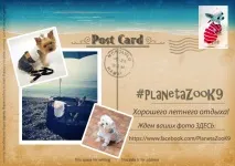 Збираєтеся на море з улюбленим собакою У Planeta Zoo K9 колекція в морському стилі, Мій світ в море