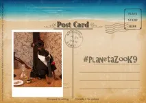 Збираєтеся на море з улюбленим собакою У Planeta Zoo K9 колекція в морському стилі, Мій світ в улюбленим