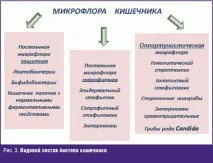 Склад кишкової мікрофлори залежить від віку новонародженого склад