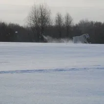 Собака алабай, САТ, азіатка азіатка
