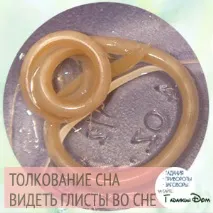 Сонник глисти глисти