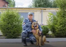 Врятована зі стічної ями вівчарка Мухтар визначено на службу в поліцію, Волонтери притулку Щербинка мухтар