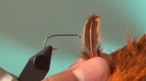 Статті про нахлист нахлист