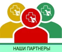 Стерилізація кішки вдома вдома