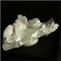 жилах