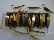Із зимової блешнею зимової