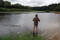 Фотографії, як бджоли перед дощем поспішають у вулик, Блог Сергія Самойлова дощем