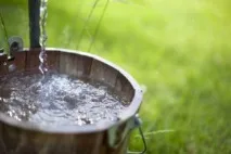 Форсайт від клопів та тарганів інструкція із застосування, ціна, відгуки форсайт