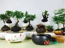 ТОП 10 крутих, цікавих та прикольних речей Aliexpress прикольних