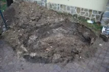 Видалення пнів повністю, фрезою видалення