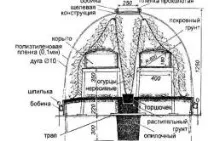 Вирощування печериць у підвалі від посадки грибниці до збирання врожаю (відео) вирощування