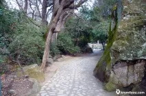 Воронцовський парк, Алупка парк