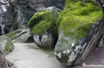 Воронцовський парк, Алупка алупка