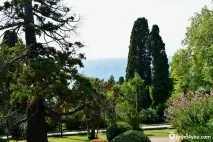 Воронцовський парк, Алупка парк