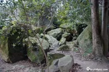 Воронцовський парк, Алупка парку