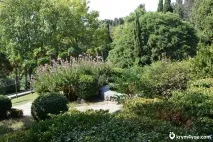 Воронцовський парк, Алупка парк