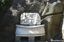 Воронцовський парк, Алупка парк