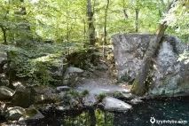 Воронцовський парк, Алупка парк