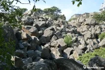 Воронцовський парк, Алупка парк