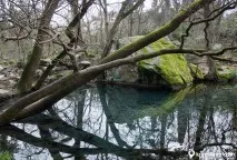 Воронцовський парк, Алупка Воронцовського