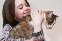 Хірургічне лікування поствакцинальної саркоми у котів лікування