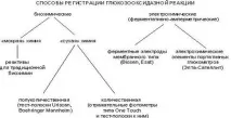 студопедія