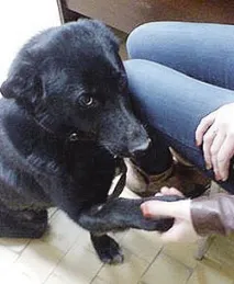 новини