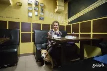 Забронювати місце під столиком, або У яких кафе Мінська вам будуть раді з собакою туристичний столиком