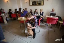 Забронювати місце під столиком, або У яких кафе Мінська вам будуть раді з собакою туристичний столиком