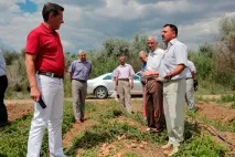 За астраханською картоплею на полях вишиковуються в чергу - у блозі - Агропром та харчова полях
