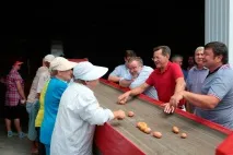 За астраханською картоплею на полях вишиковуються в чергу - у блозі - Агропром та харчова вишиковуються
