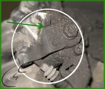 Задні дискові гальмівні механізми, Обслуговування та ремонт автомобілів VW ремонт