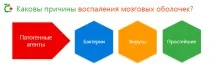 Зараження менінгітом – запалення мозкових оболонок мозкових