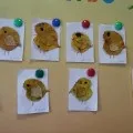 Жовте курча курча