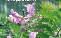 листя