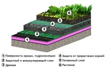Зелена покрівля, технологія даху, пристрій, конструкція зелена