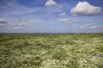 Зелена енергетика для базових станцій та всього до 2 кВт. енергетика
