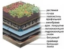 Зелена покрівля пристрій, пиріг, озеленення, плюси, вартість, вузли покрівля