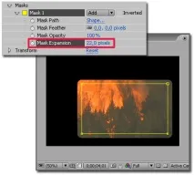 adobe