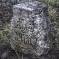 Абетку - пошук слів за маскою та визначенням, відповіді на сканворди маскою