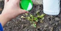 Азотні добрива користь та шкода користь