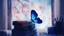Базовий протокол усунення проблеми з BSFF - Page 8 усунення