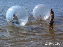 база