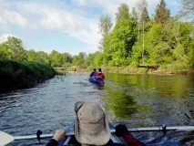 Березина (річка) опис та історія березина