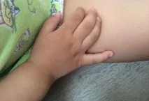 гусяча