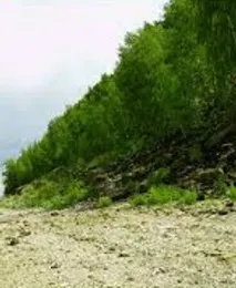 Грибні місця Самарської області поради грибника області