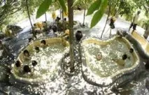 Огляд грязьового комплексу I-Resort у Нячанзі донгів