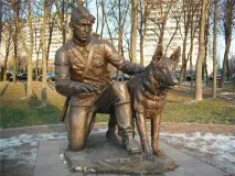Головна служба собаки собаки